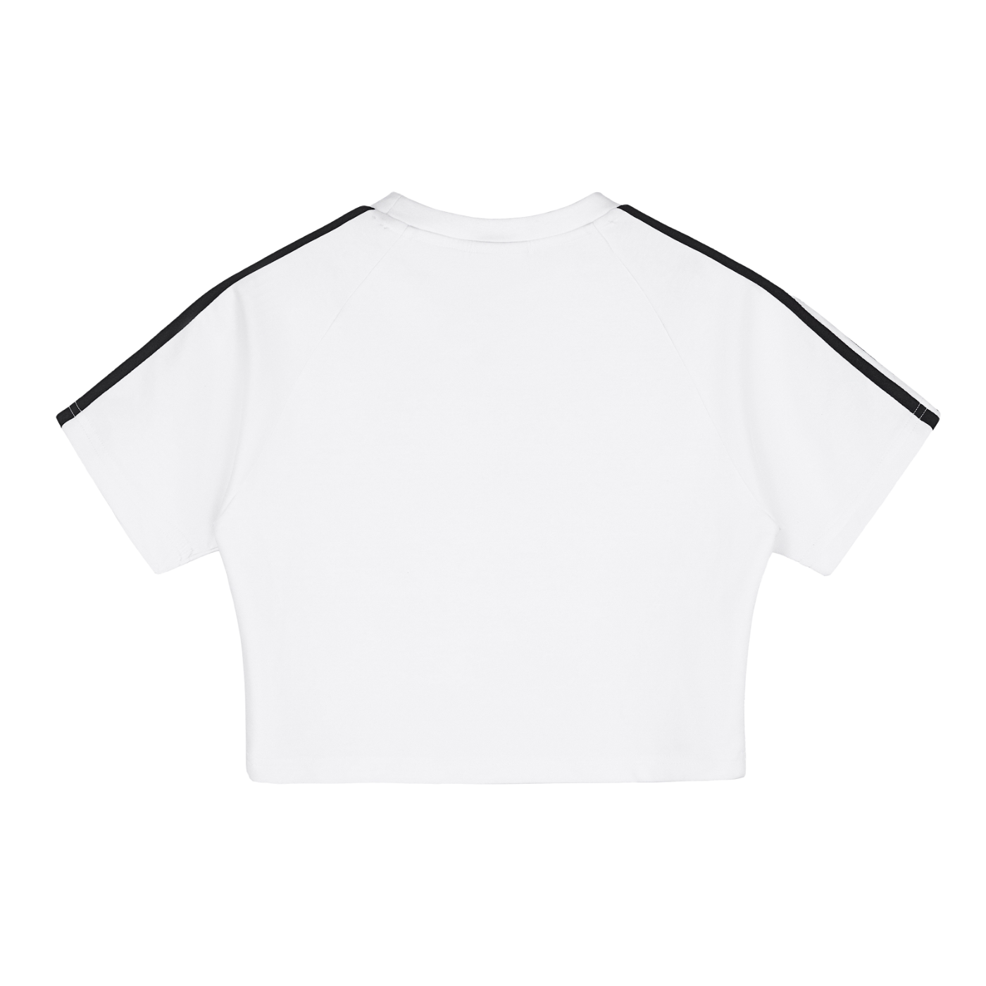 Sncl Crop Top