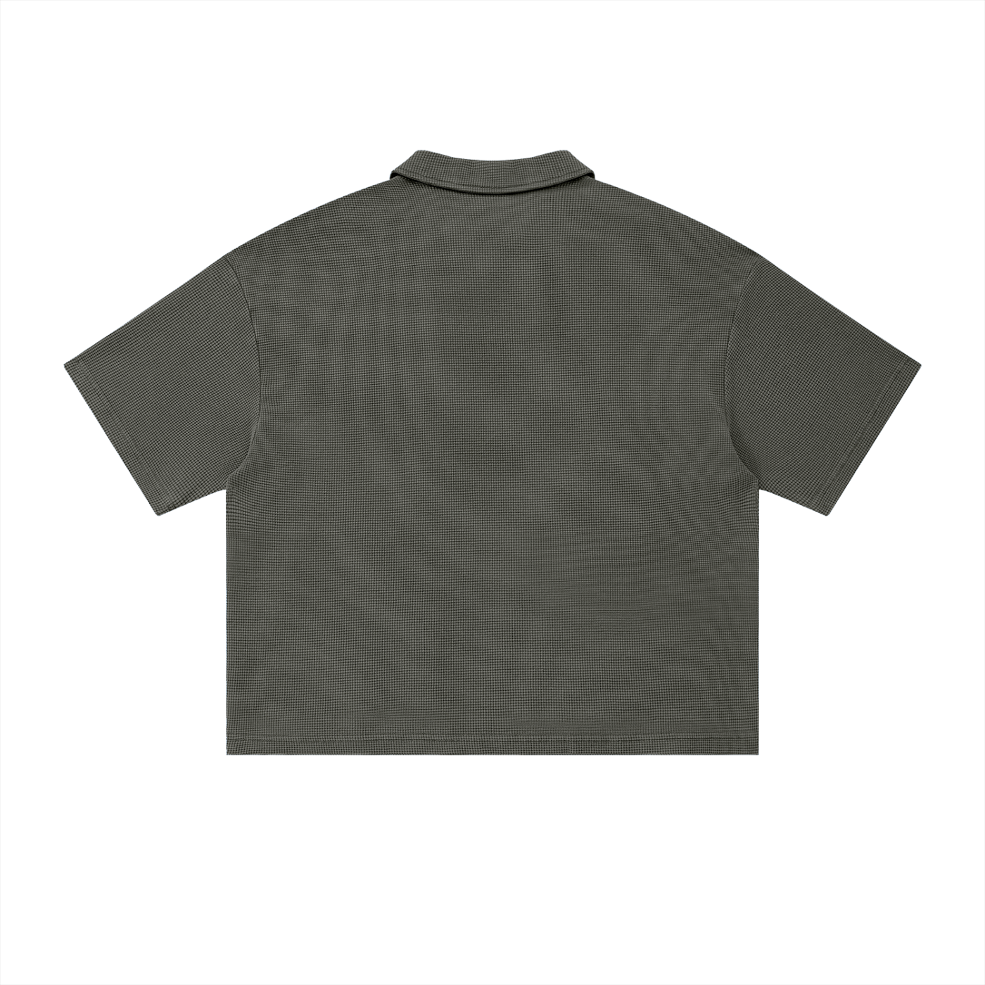 SNCL POLO