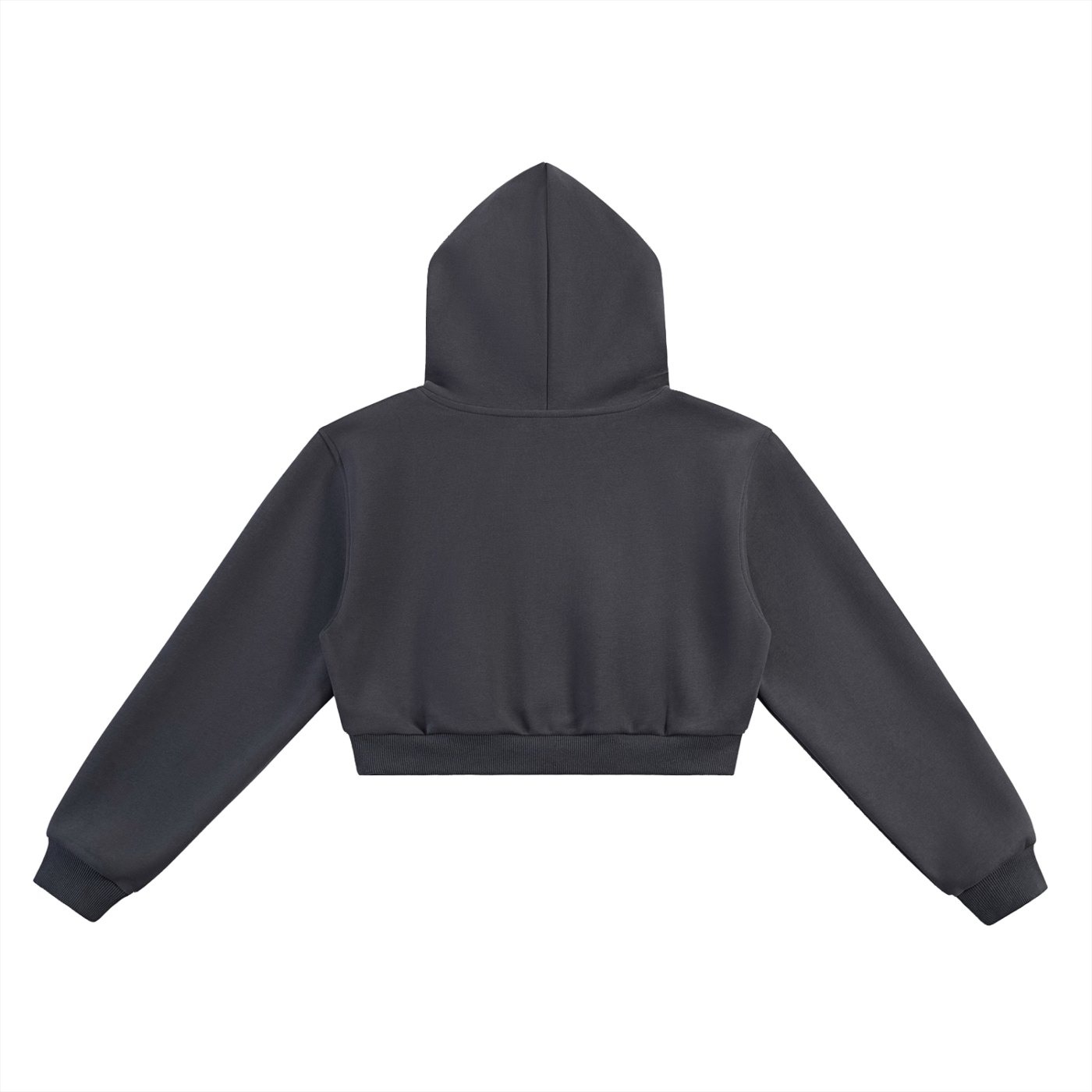 Sncl Cropped Hoodie