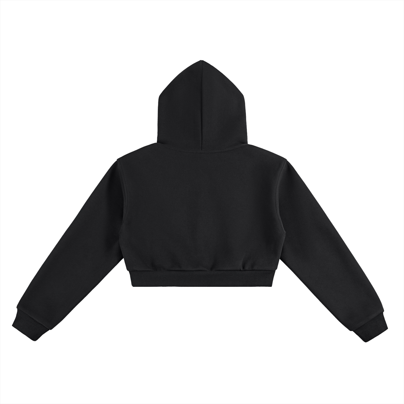 Sncl Cropped Hoodie